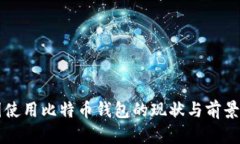 中国使用比特币钱包的现
