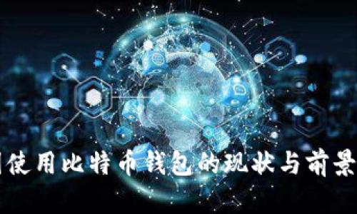 中国使用比特币钱包的现状与前景分析