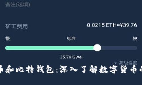 比特币和比特钱包：深入了解数字货币的世界