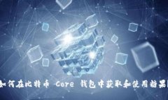 如何在比特币 Core 钱包中