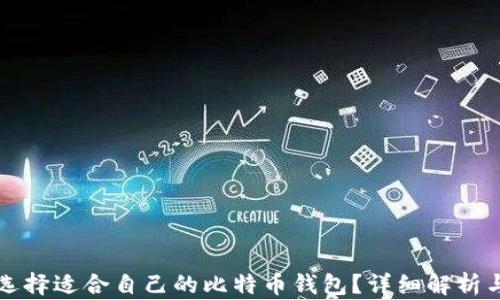 
如何选择适合自己的比特币钱包？详细解析与推荐