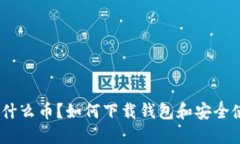 USDT是什么币？如何下载钱