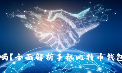 手机比特币钱包靠谱吗?全面解析手机比特币钱包的安全性与使用体验