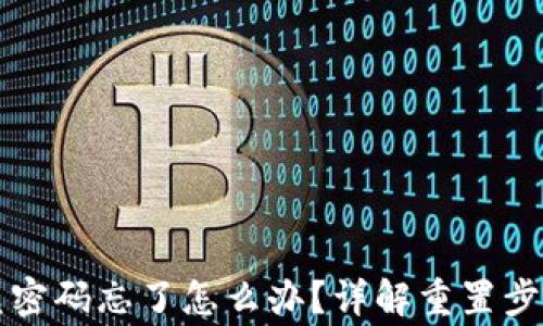 
tpWallet闪兑密码忘了怎么办？详解重置步骤与注意事项