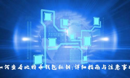 如何查看比特币钱包私钥：详细指南与注意事项
