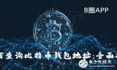 如何查询比特币钱包地址
