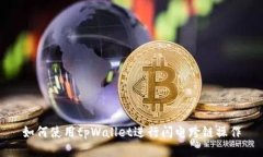 如何使用tpWallet进行闪电跨