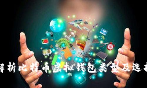 全面解析比特币虚拟钱包类型及选择指南