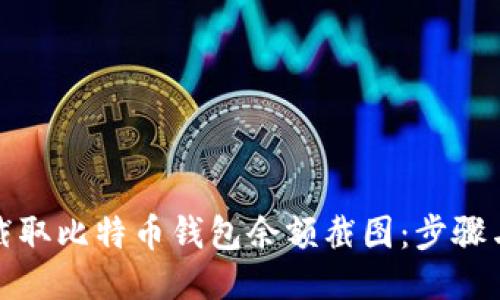 如何截取比特币钱包余额截图:步骤与技巧