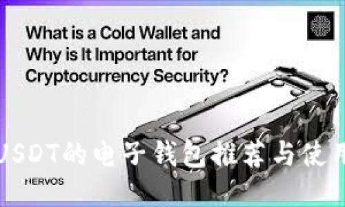 支持USDT的电子钱包推荐与使用指南