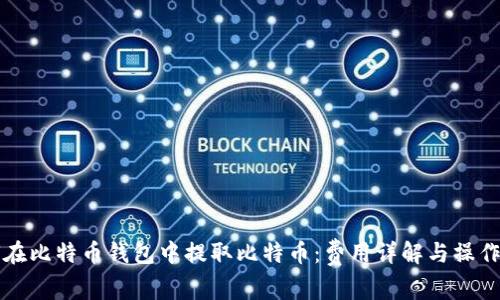 如何在比特币钱包中提取比特币：费用详解与操作指南