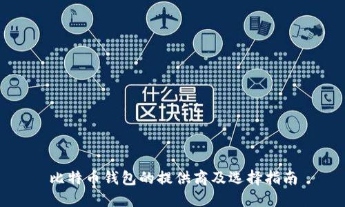 比特币钱包的提供商及选择指南