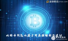 比特币钱包内存占用原因