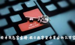 比特币钱包富豪榜：揭示