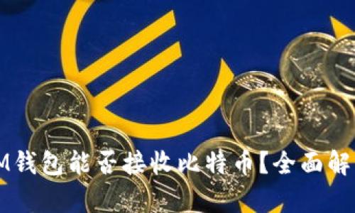 IM钱包能否接收比特币？全面解析
