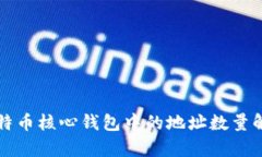 比特币核心钱包中的地址
