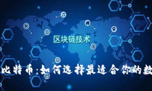 智能钱包与比特币：如何选择最适合你的数字货币钱包