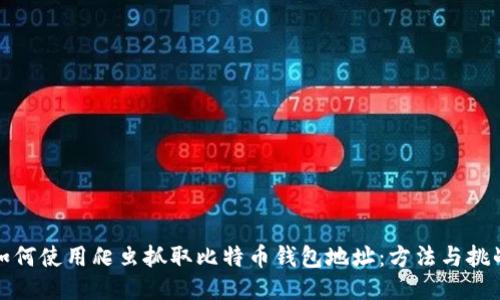 如何使用爬虫抓取比特币钱包地址：方法与挑战