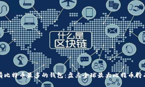 拥有比特币最多的钱包：盘点全球最大比特币持有者