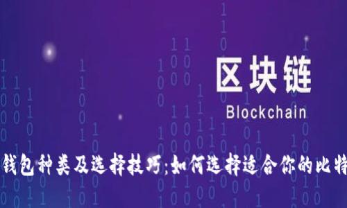 比特币钱包种类及选择技巧：如何选择适合你的比特币钱包