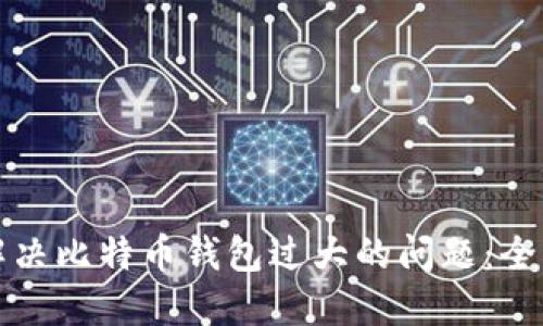 如何解决比特币钱包过大的问题：全面指南