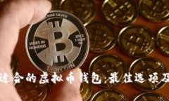 如何选择适合的虚拟币钱