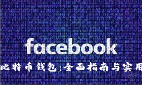 如何找回比特币钱包：全面指南与实用软件推荐