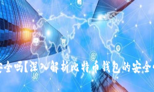 比特币钱包安全吗？深入解析比特币钱包的安全性与防护措施