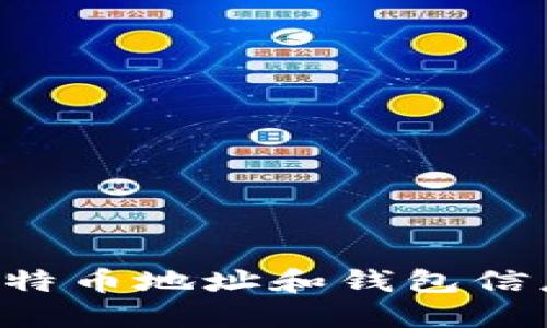 如何查询比特币地址和钱包信息：全面指南