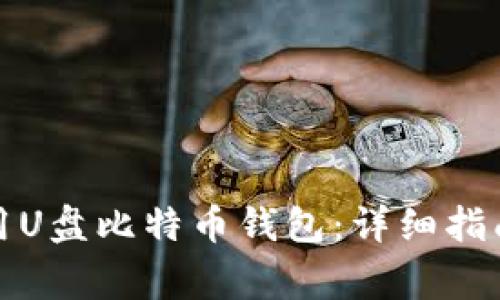 如何安全使用U盘比特币钱包：详细指南与注意事项