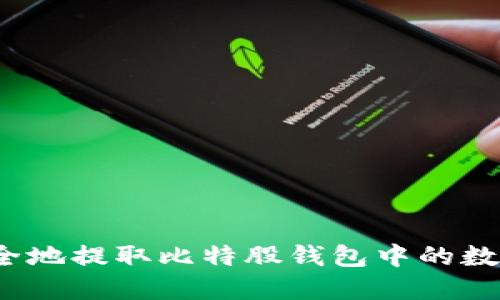 如何安全地提取比特股钱包中的数字资产？