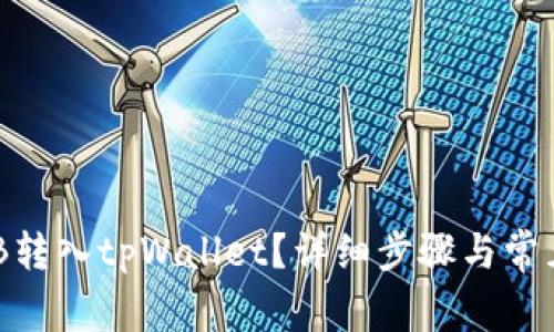 如何将BNB转入tpWallet?详细步骤与常见问题解答