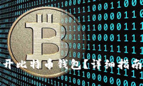 如何在电脑上打开比特币钱包？详细指南与常见问题解析
