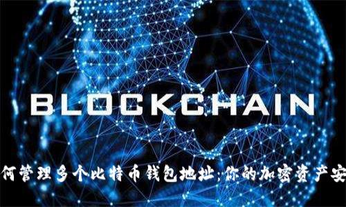 如何管理多个比特币钱包地址：你的加密资产安全