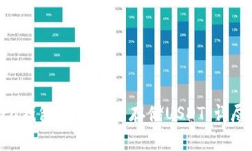Terra钱包如何安全存储USDT：详尽指南