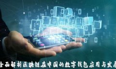 全面解析区块链在中国的