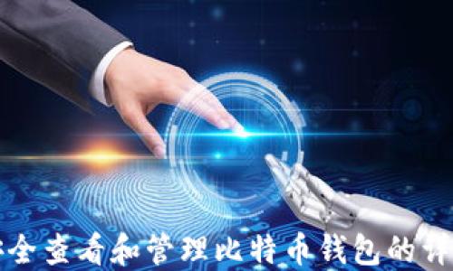 
如何安全查看和管理比特币钱包的详细指南