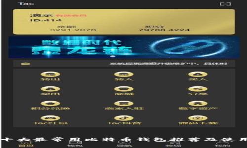 中国十大最常用比特币钱包推荐及使用指南