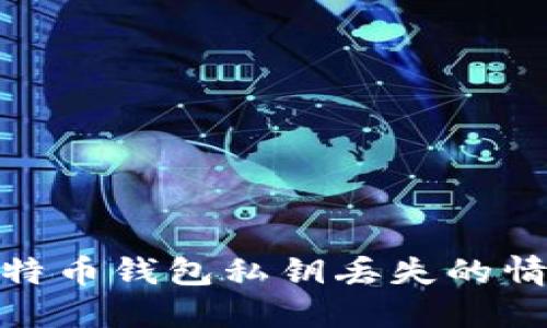 如何处理比特币钱包私钥丢失的情况及其影响