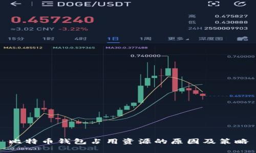 比特币钱包占用资源的原因及策略