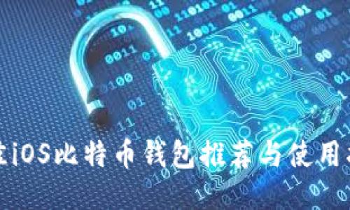 最佳iOS比特币钱包推荐与使用指南