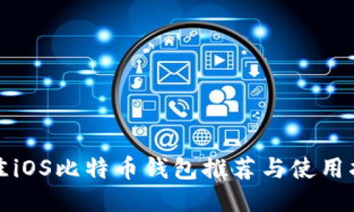 最佳iOS比特币钱包推荐与使用指南