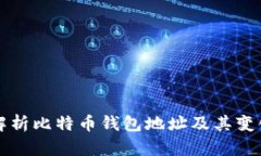 深入解析比特币钱包地址