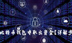 如何安全地从比特币钱包