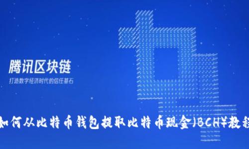 如何从比特币钱包提取比特币现金（BCH）教程