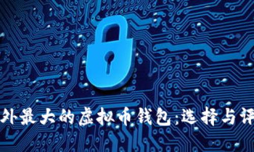 国外最大的虚拟币钱包：选择与评测