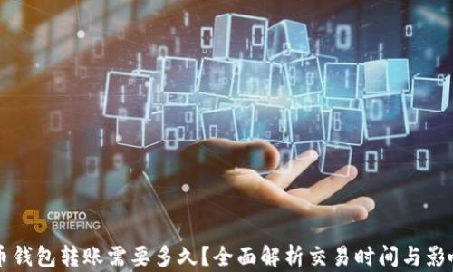 
比特币钱包转账需要多久？全面解析交易时间与影响因素