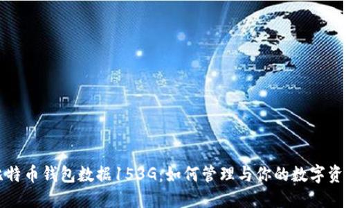 比特币钱包数据153G：如何管理与你的数字资产