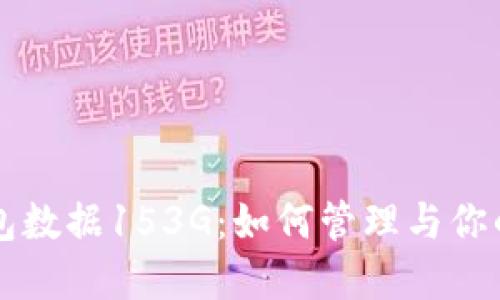 比特币钱包数据153G：如何管理与你的数字资产