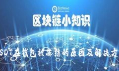 USDT在钱包被冻结的原因及